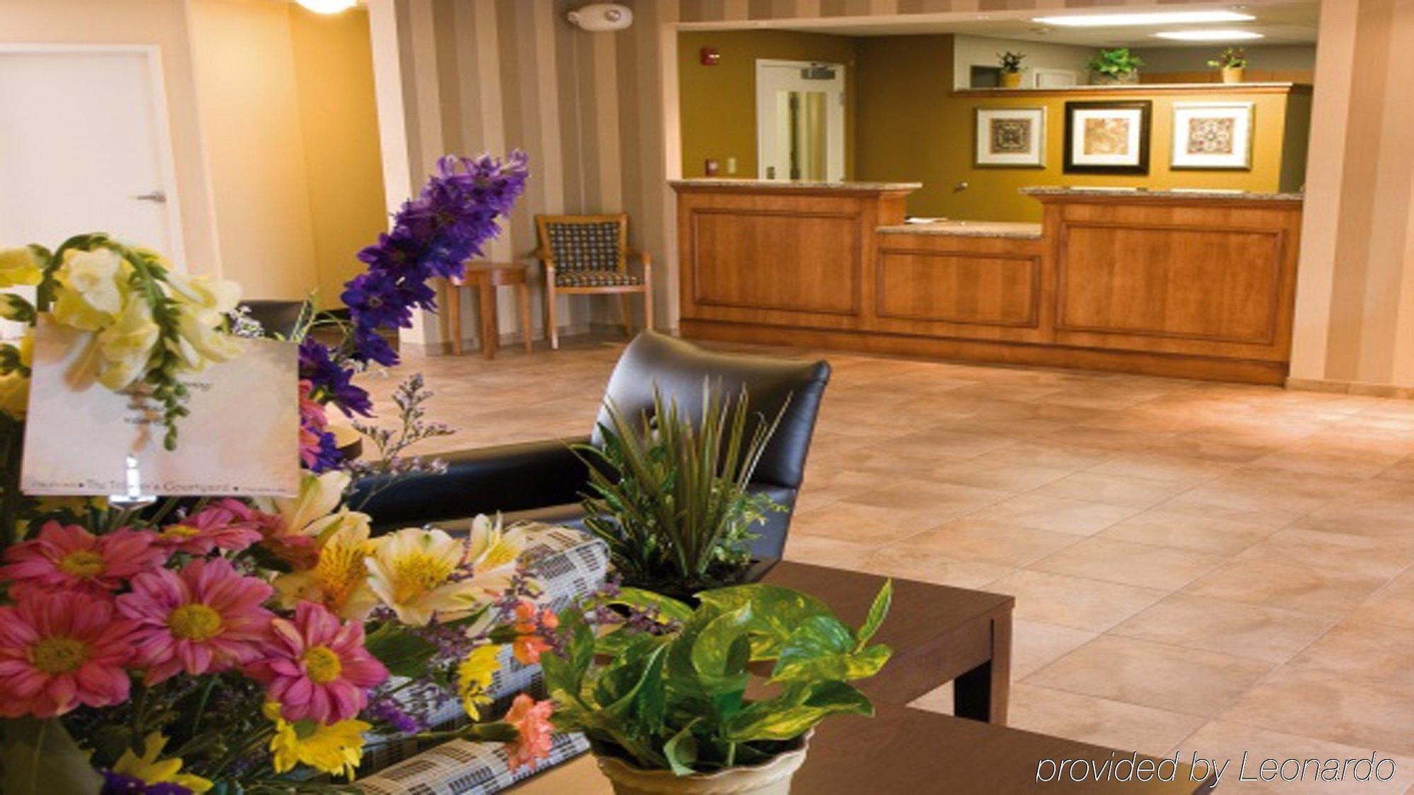 Candlewood Suites Buffalo Amherst, An Ihg Hotel מראה פנימי תמונה